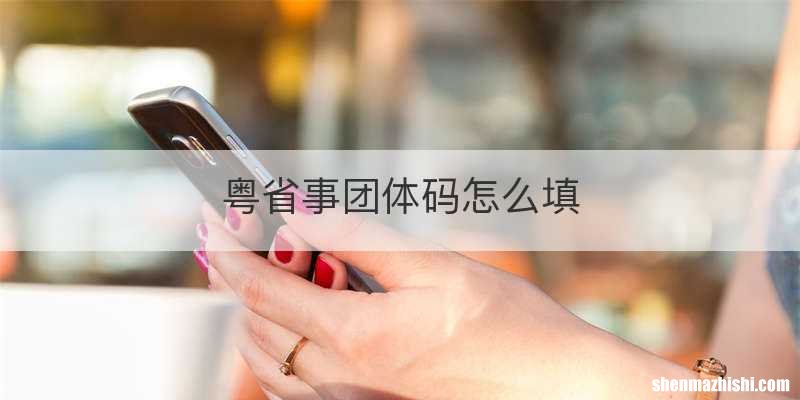 粤省事团体码怎么填