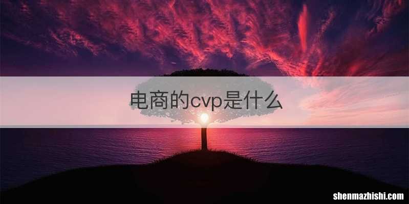 电商的cvp是什么