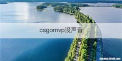 csgomvp没声音