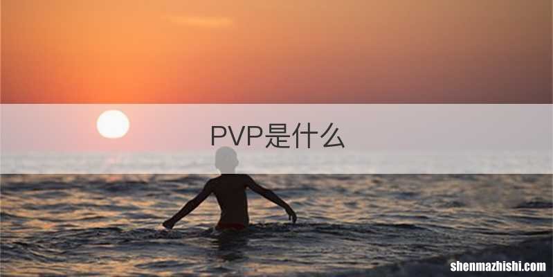 PVP是什么