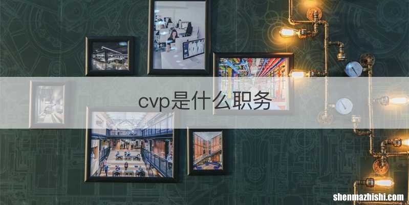 cvp是什么职务
