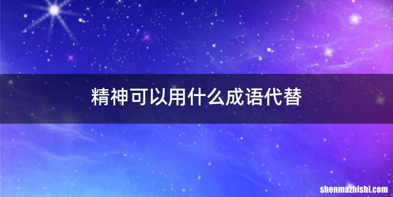 精神可以用什么成语代替