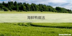 海鲜鸭做法