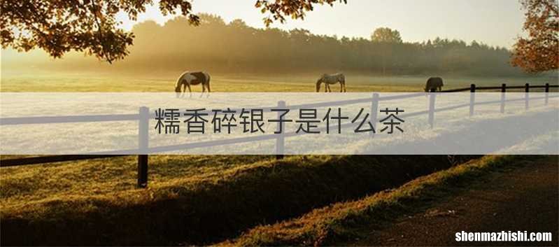糯香碎银子是什么茶