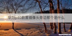 华为p40前置摄像头旁边那个是什么