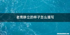 老鹰静立的样子怎么描写