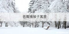 老鹰捕猴子寓意