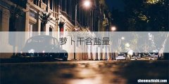 萝卜干含盐量
