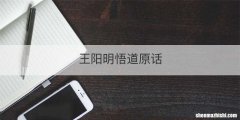 王阳明悟道原话