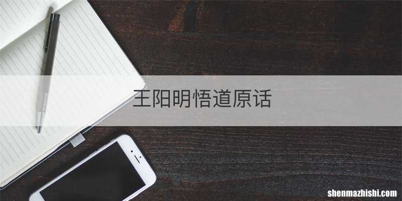 王阳明悟道原话