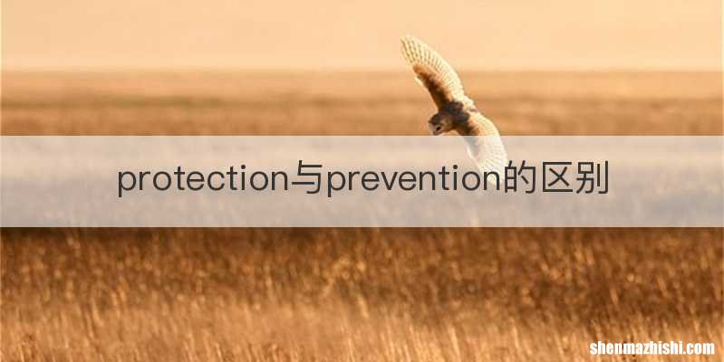 protection与prevention的区别