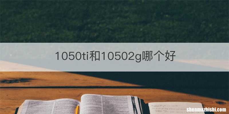1050ti和10502g哪个好