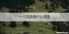 一闪亮晶晶什么意思