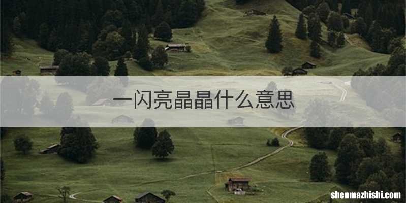一闪亮晶晶什么意思