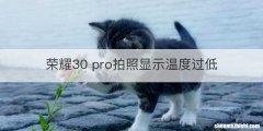 荣耀30 pro拍照显示温度过低