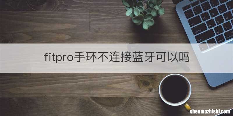 fitpro手环不连接蓝牙可以吗