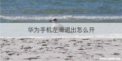 华为手机左滑退出怎么开