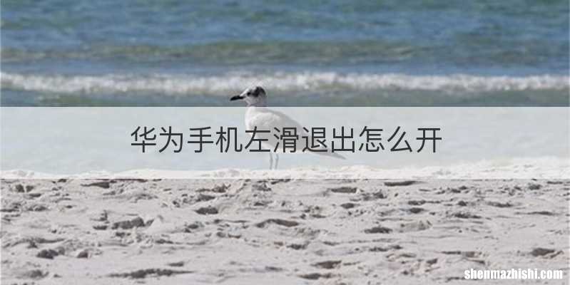 华为手机左滑退出怎么开
