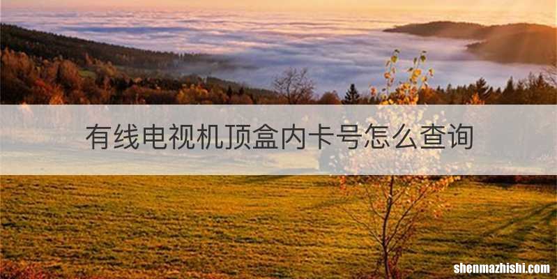 有线电视机顶盒内卡号怎么查询