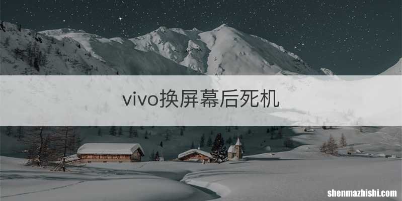 vivo换屏幕后死机