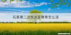石昊第二次失去至尊骨怎么活