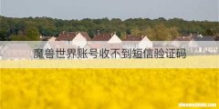魔兽世界账号收不到短信验证码