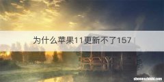 为什么苹果11更新不了157