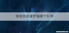 银渐层跟暹罗猫哪个好养