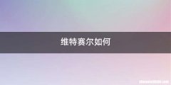 维特赛尔如何