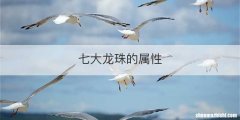 七大龙珠的属性