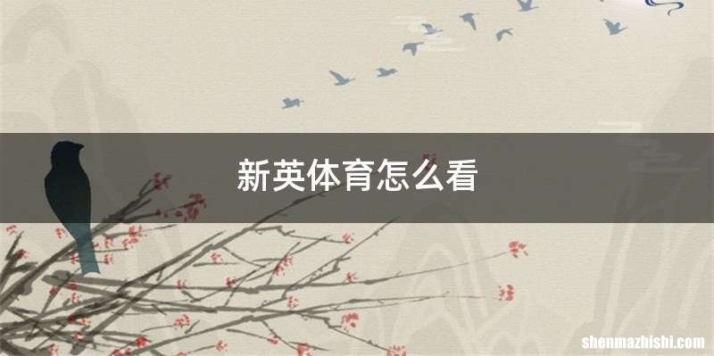 新英体育怎么看