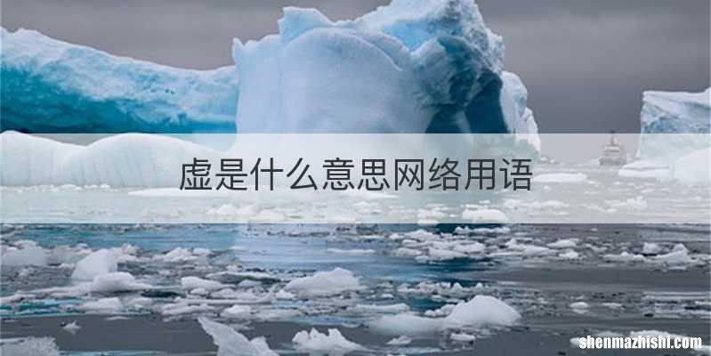 虚是什么意思网络用语