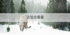 迅猛龙重量