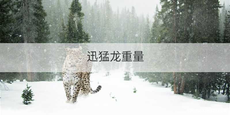 迅猛龙重量