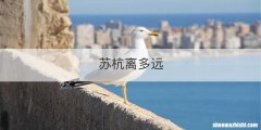 苏杭离多远