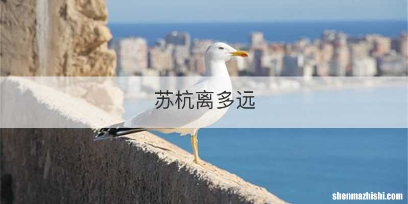 苏杭离多远