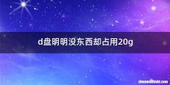 d盘明明没东西却占用20g