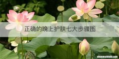 正确的晚上护肤七大步骤图
