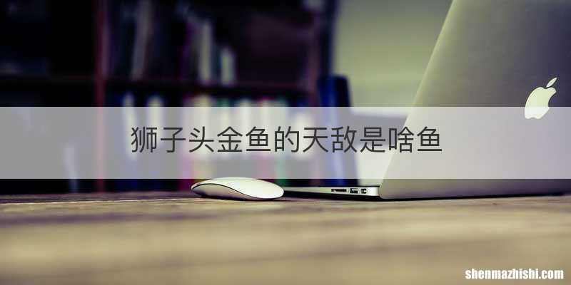 狮子头金鱼的天敌是啥鱼