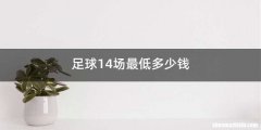 足球14场最低多少钱
