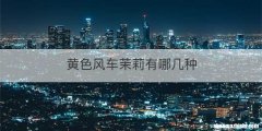 黄色风车茉莉有哪几种