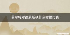 菲尔特对德累斯顿什么时候比赛