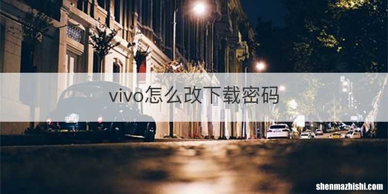 vivo怎么改下载密码