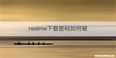 realme下载密码如何破