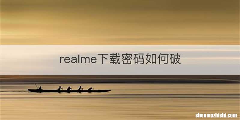 realme下载密码如何破