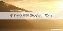 小米平板如何限制小孩下载app