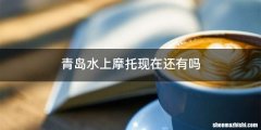 青岛水上摩托现在还有吗