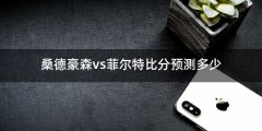 桑德豪森vs菲尔特比分预测多少