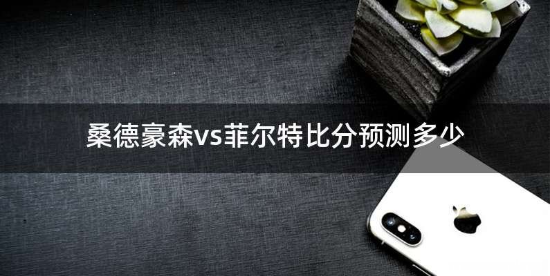 桑德豪森vs菲尔特比分预测多少