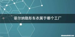 菲尔纳隐形车衣属于哪个工厂